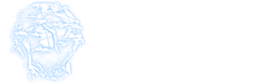 All Mighty Security